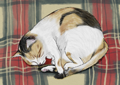 けんたろう