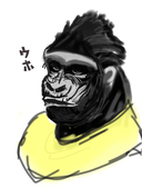 たぬき。
