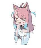 柴犬きせつくん