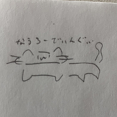 きさ。