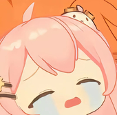 半糖小菲猪