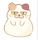 ねこのひとみ
