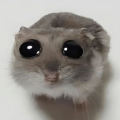 躁鬱