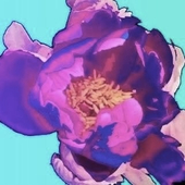 MINAYUKI