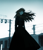 northflower