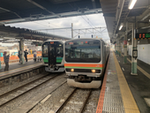 タピオカ晴琉