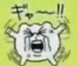 迟岩