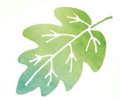 Sencha