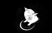 Ink_GMBT
