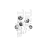 たこ/鳥肌蛸