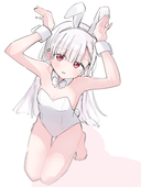 しのくま