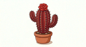RedCactus