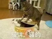 猫饼饼