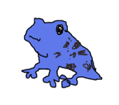 pipapipa@kaeru
