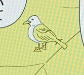 ましゅぼ