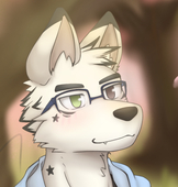 黑風白狼ArcticWolf