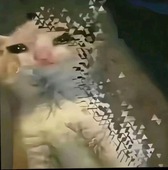 wei