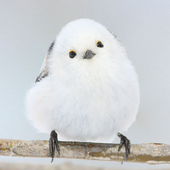 尻陰る