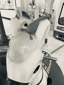 チキン