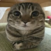 伊始