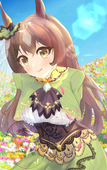 比翼の羽根