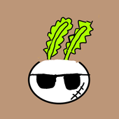甲斐たか