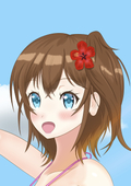 中島VVN
