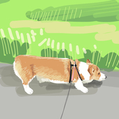 ビ