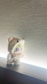こたん