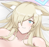 もっちりきゃっと