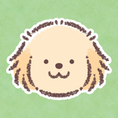 kino