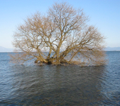 深水湖水