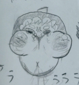 ゴン