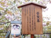 麩菓子