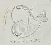 みずき
