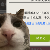 ピピ