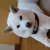 あ