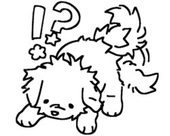 Little pup