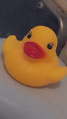 きゃしーあんとわねっと