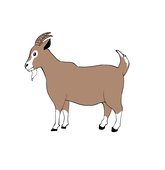 お嬢🐐