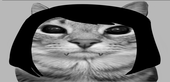 らな