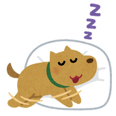 ポチ