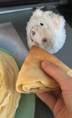 ころ2ちゃん