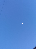 夏