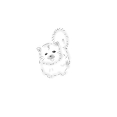 トリ