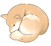 Tamaki