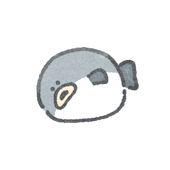 冬羽