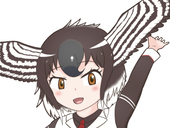 はいどろ