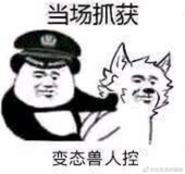 半世