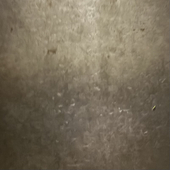 ﾖ